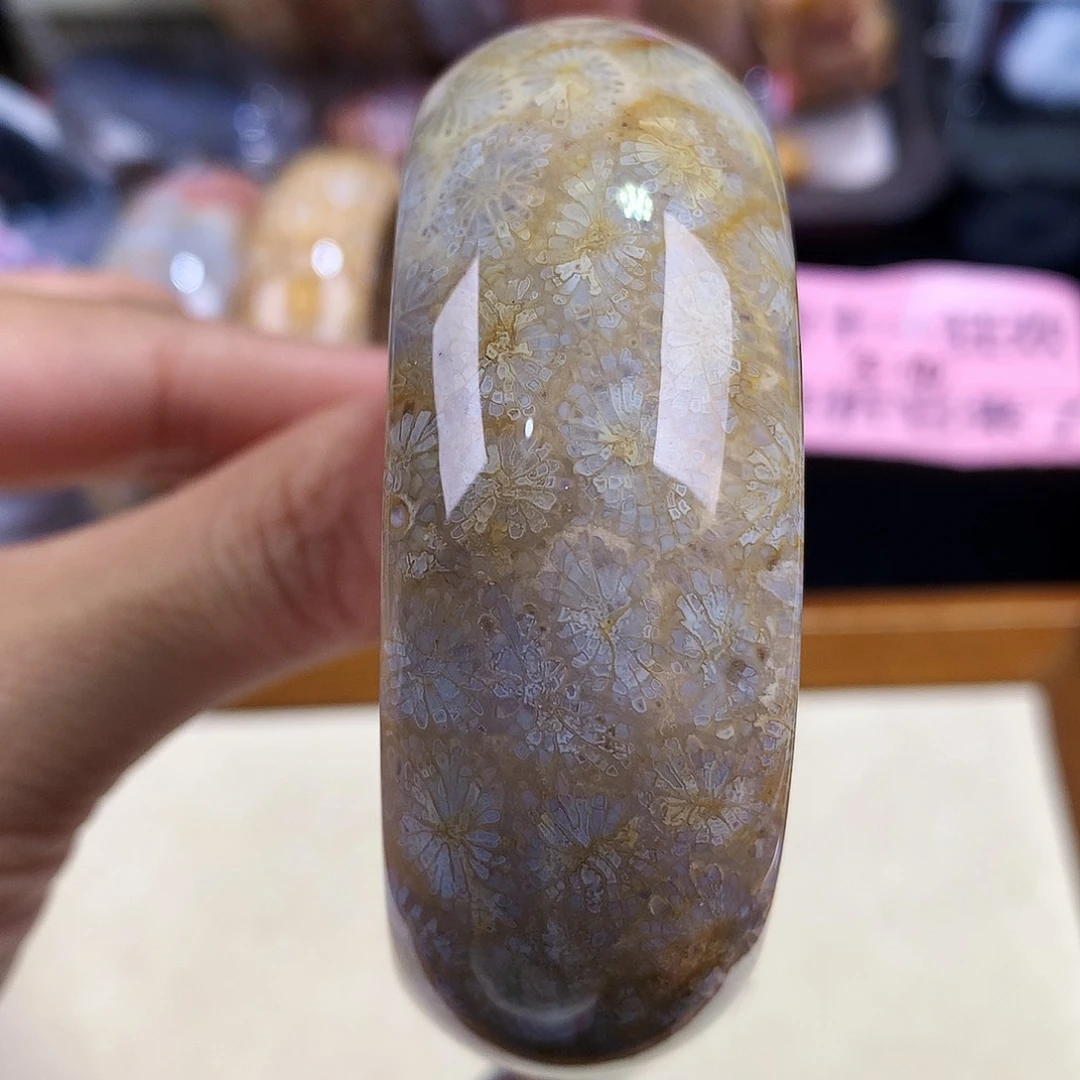 硅化珊瑚（珊瑚玉）未镶嵌吊坠(赠链)64号56圈口