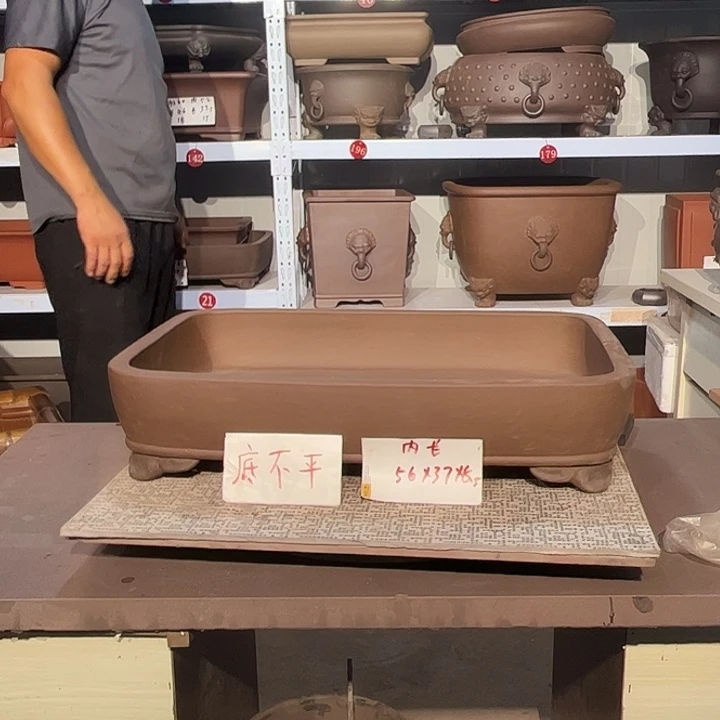 紫砂花盆mmmmmmmm