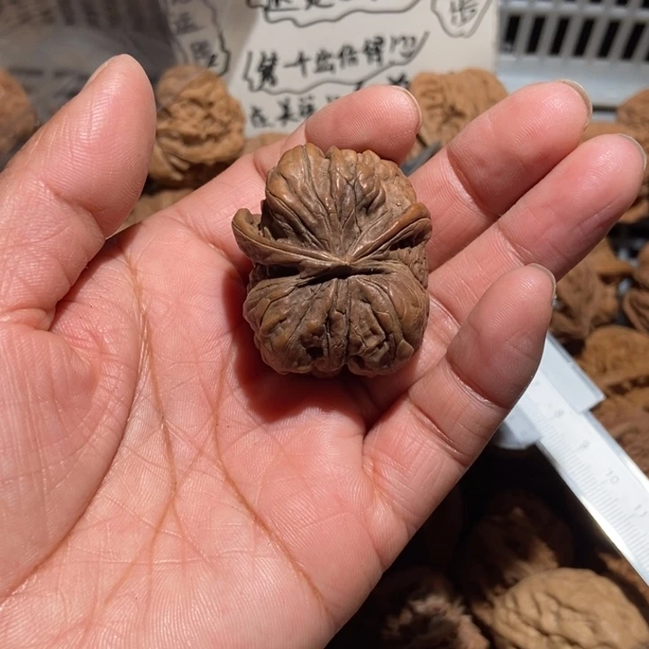 海***漂核桃蛤蟆头蛇头尺寸35