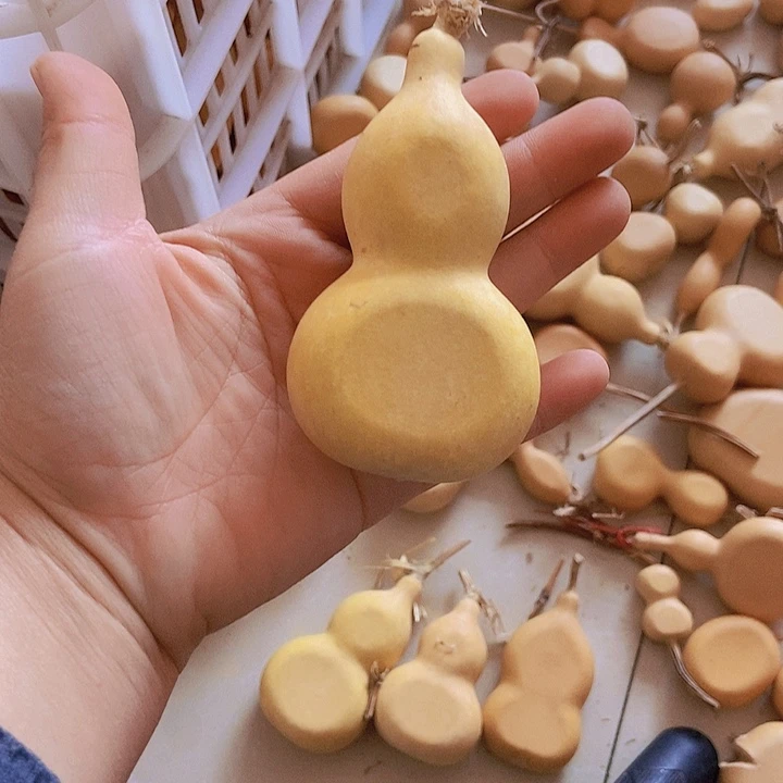 坠***核醉入爱河恭喜发财