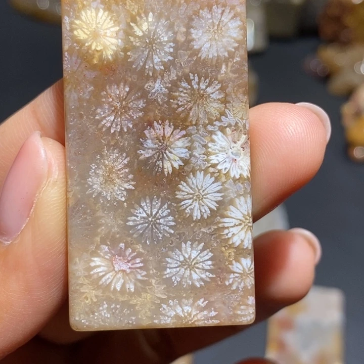 【闪购商品】未镶嵌珊瑚玉硅化玉