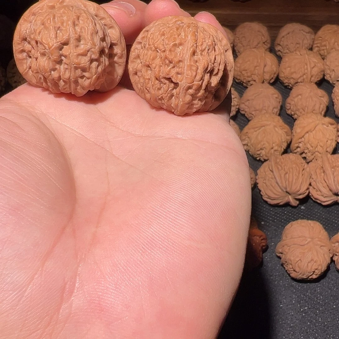 文玩核桃把件36尺全品血麒麟