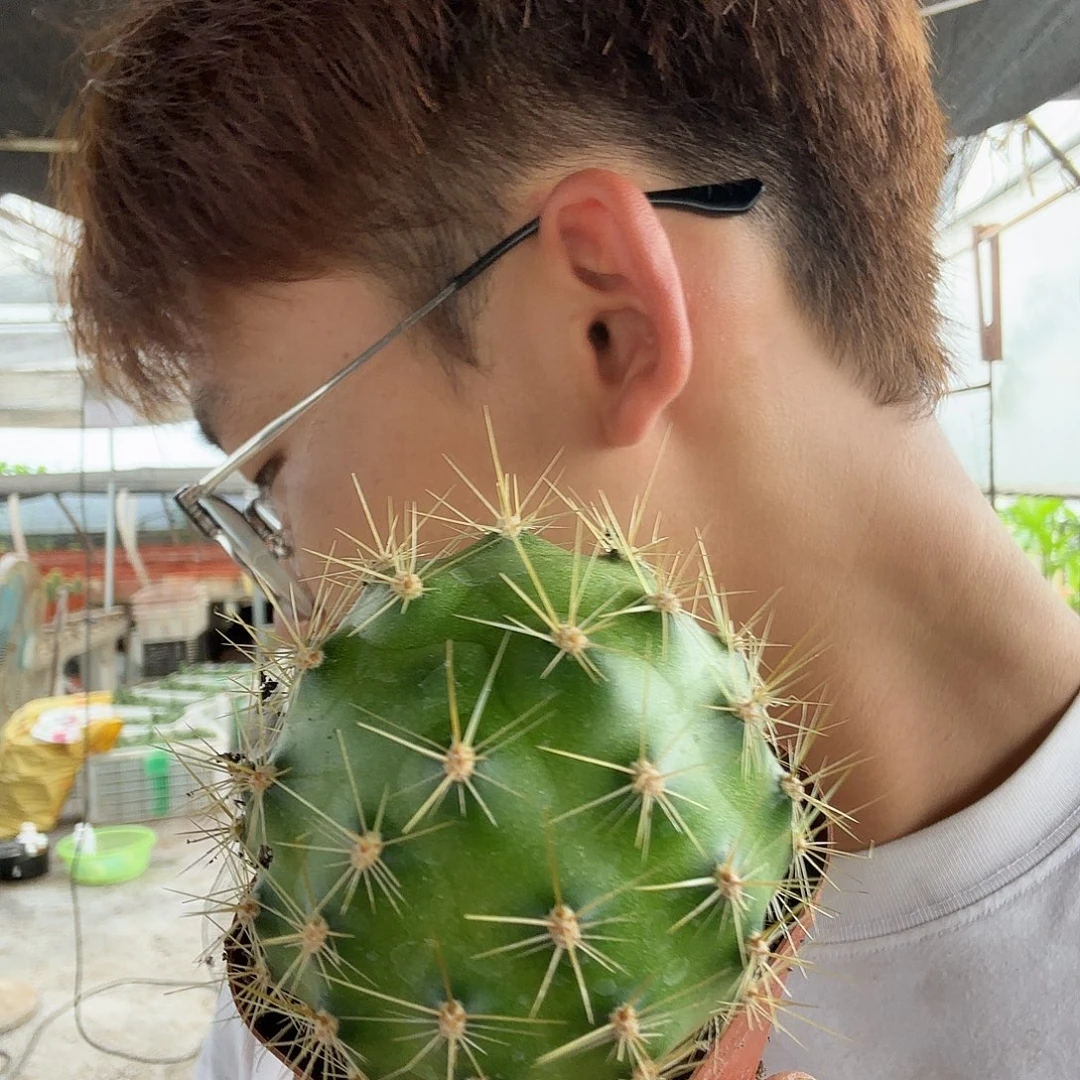 一***年无花朵盲拍哈哈哈哈哈