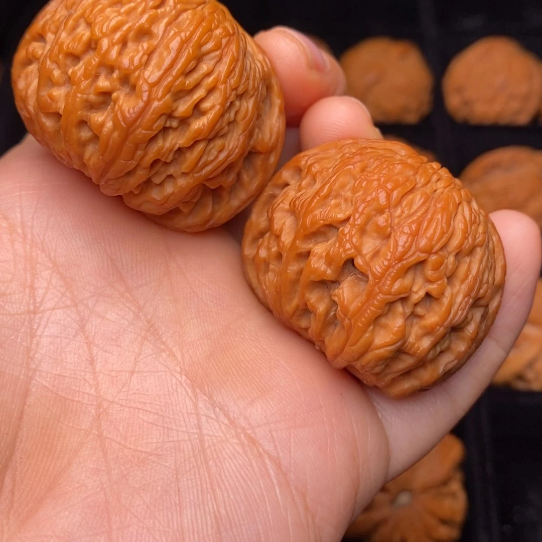 秦岭野生文玩核桃
