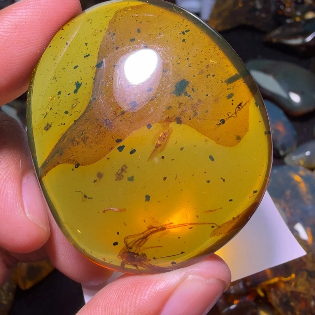 琥珀未镶嵌裸石《虫珀吊坠》