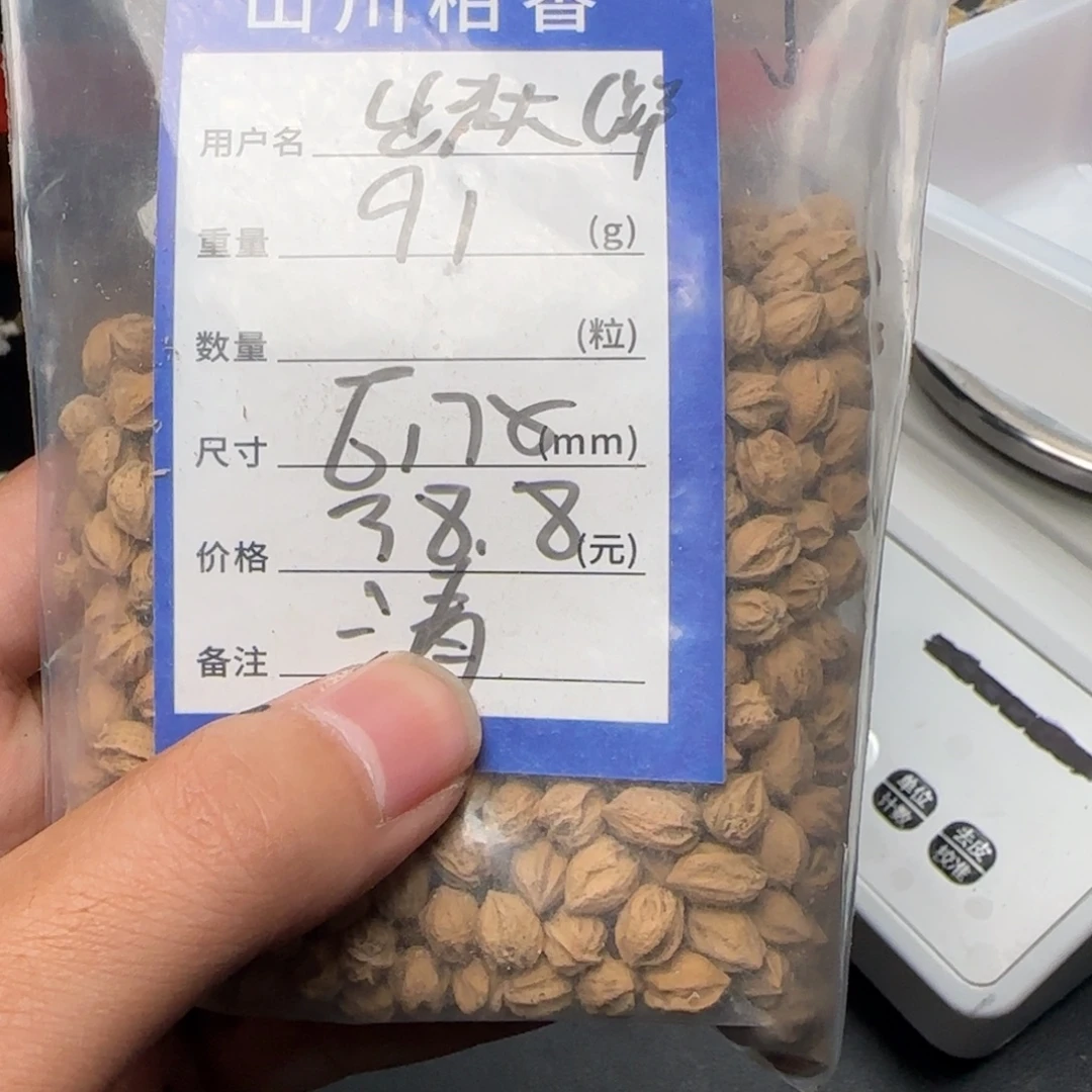 ****洋吊坠柏香籽/百香籽