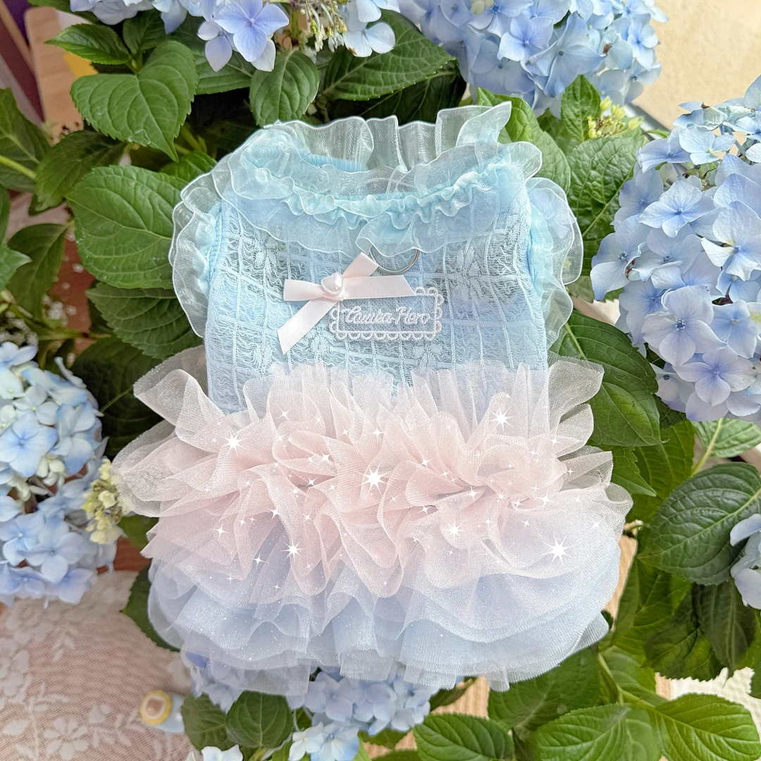 宠物公主裙猫咪衣服夏季结婚纱礼服芭蕾泰迪狗狗生日蓬蓬裙网纱裙