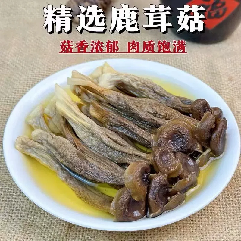 云南高山鹿茸菇干货无硫熏农家特产可炖汤炒腊肉