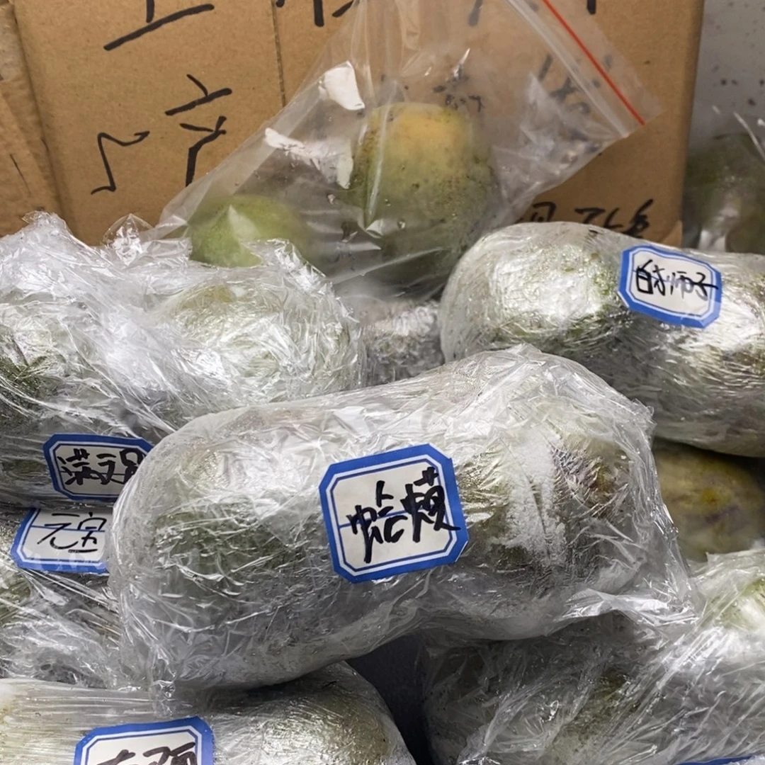 lyx产地直发蛤蟆29