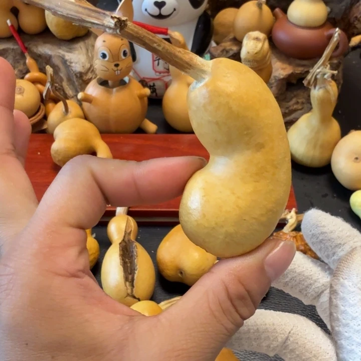 p***王6…………………………………………