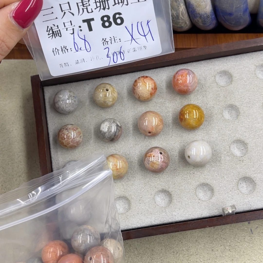 N***9硅化珊瑚（珊瑚玉）h未镶嵌