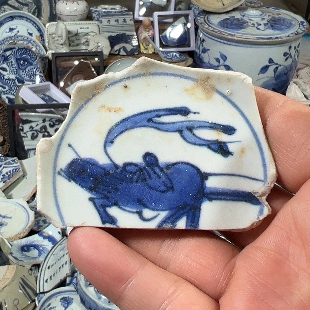 瓷片瓷片标本，全场包邮