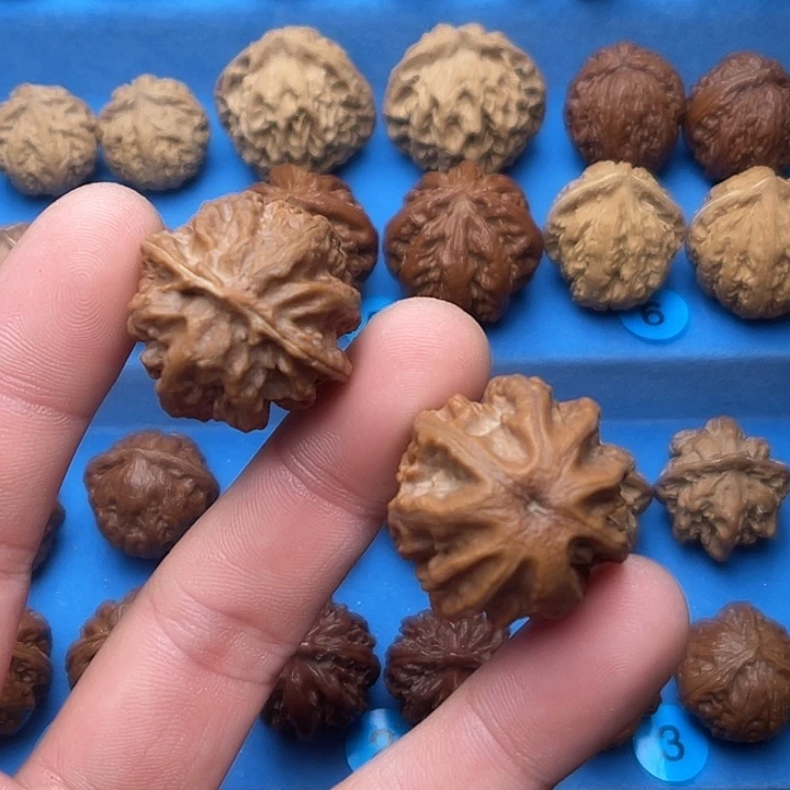 把件文玩核桃粗筋八龙柱