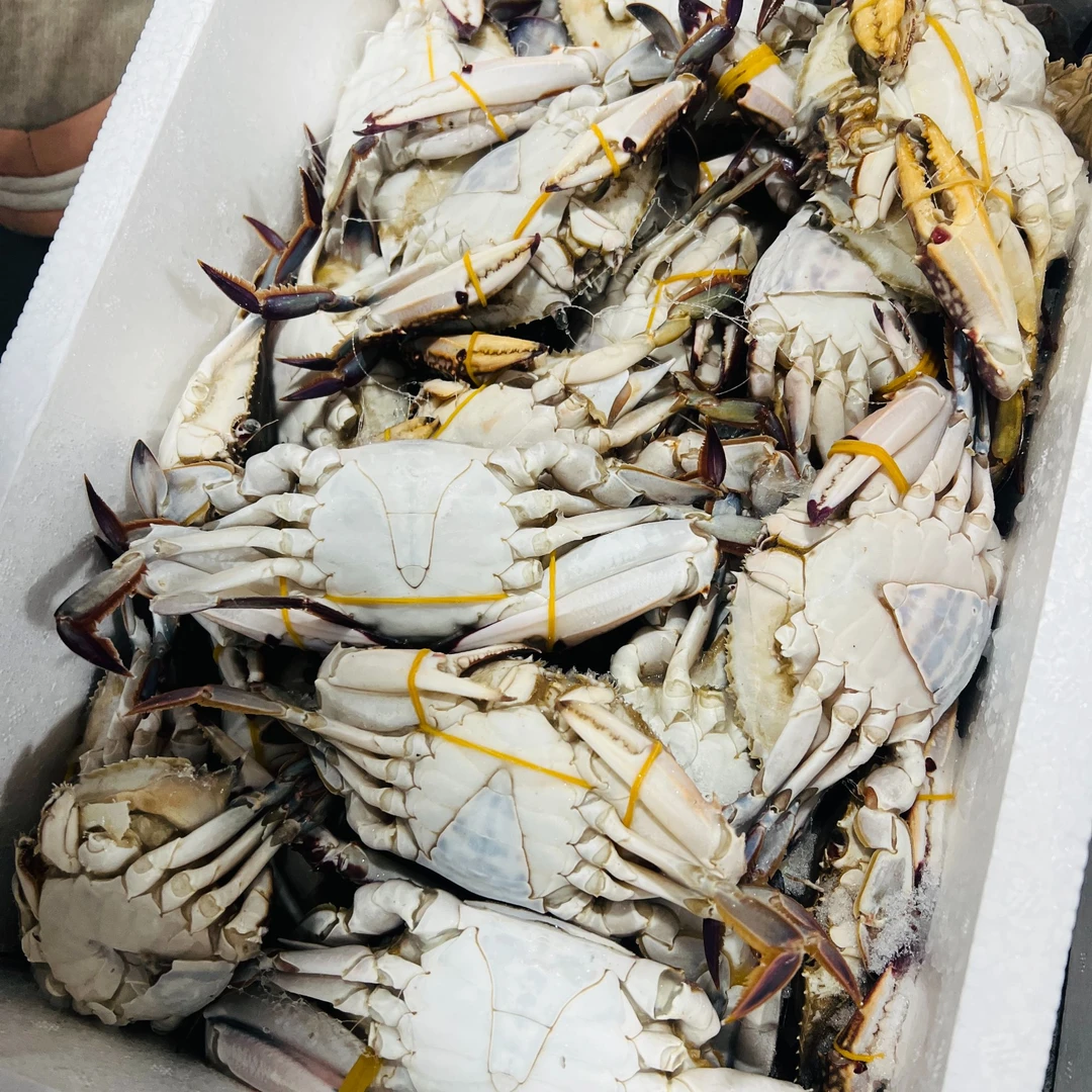 【冻蟹】舟山梭子蟹母蟹公蟹小娘蟹肉母蟹混合2-3两每只/净重6斤