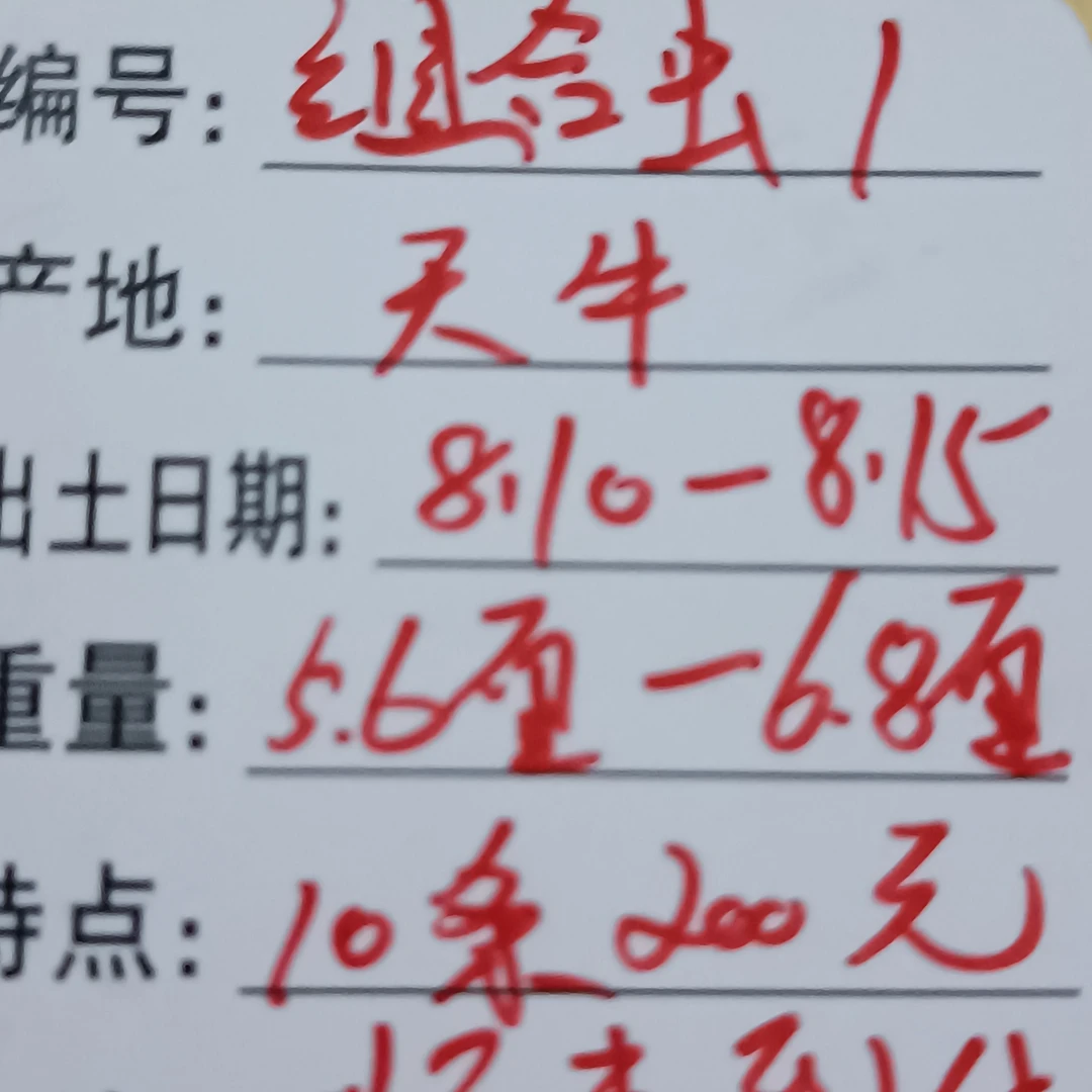 蟋蟀野放基地天牛
