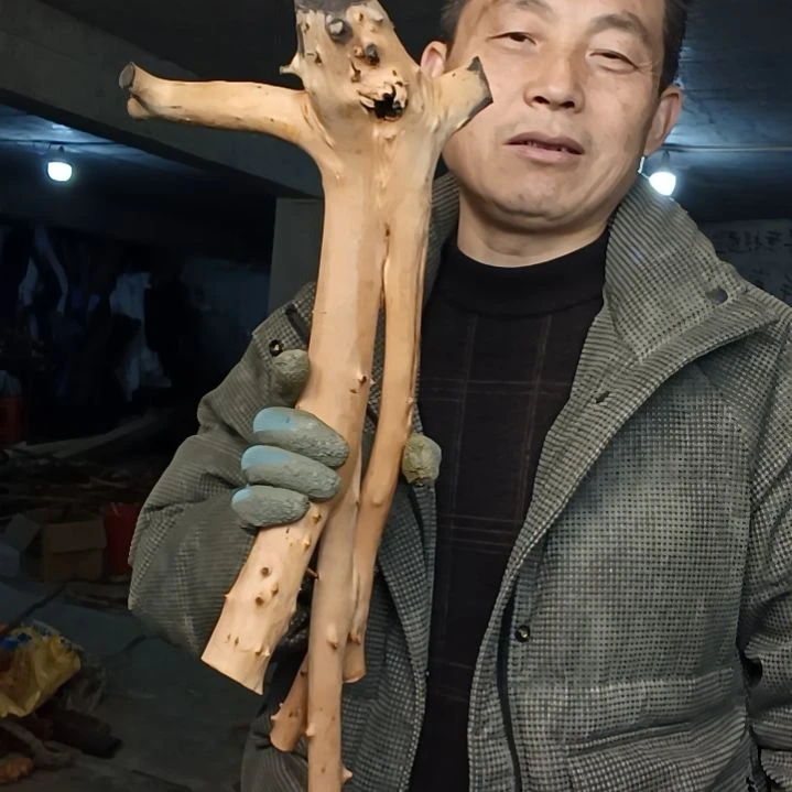 稳定木平***1贵州檬子木   铁马鞭   根艺  半成品