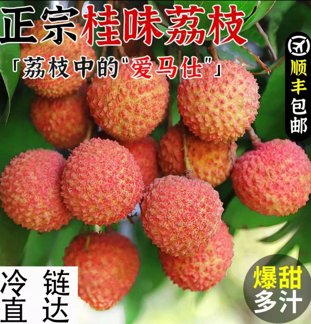 广东增城荔枝荔枝新鲜现摘当季老树顺丰空运