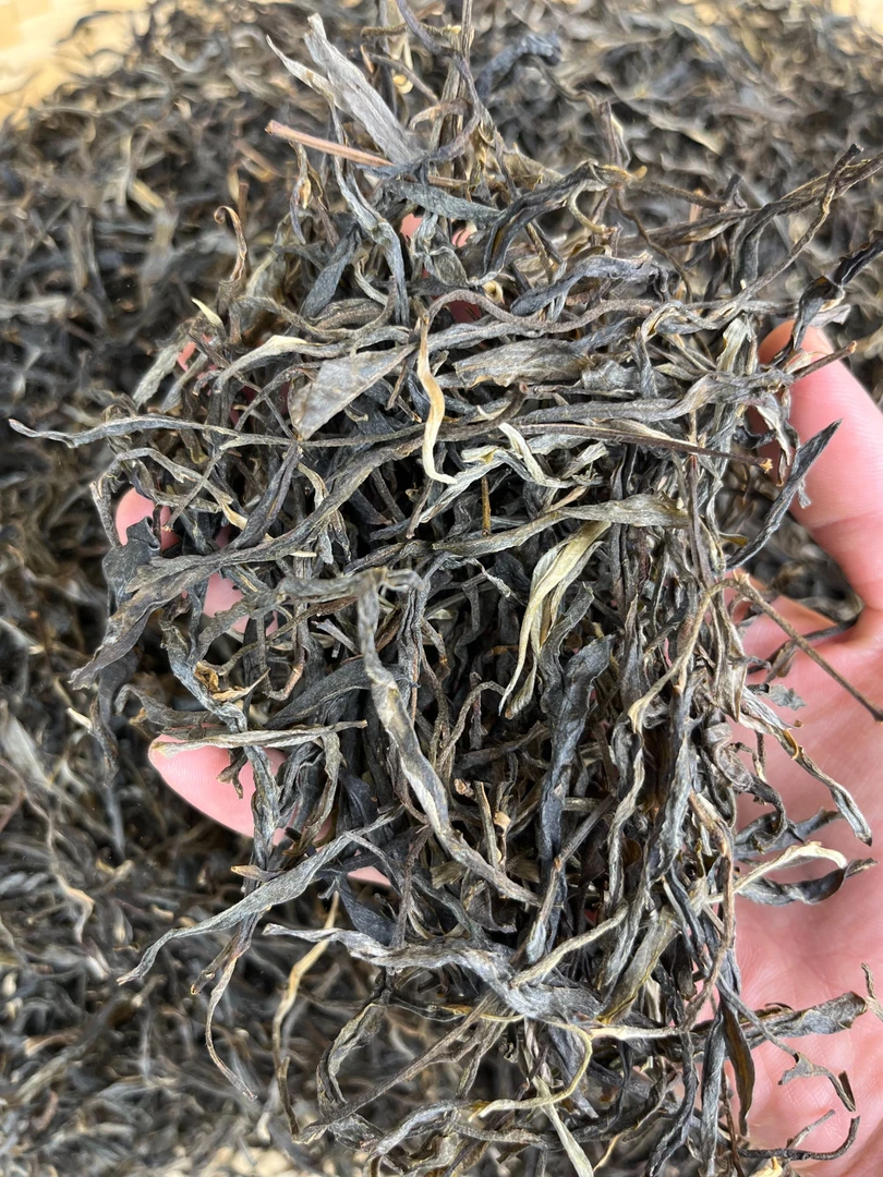 2022年云南头春忙肺大树生茶散料袋装