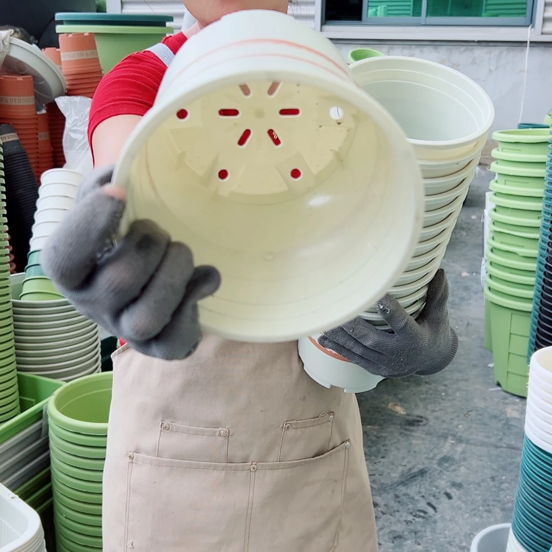 瑕疵1加仑米白色20个无托