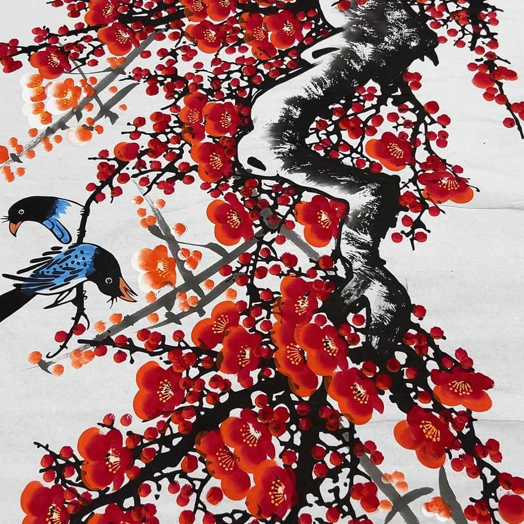 新号开播领福利了