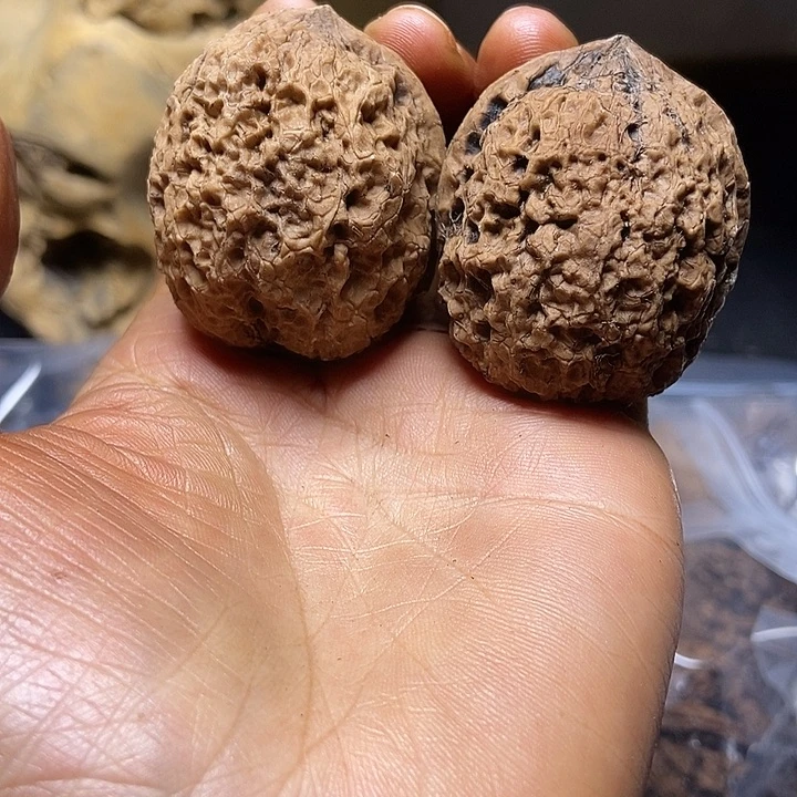 把件文玩核桃云南铁核桃基地87
