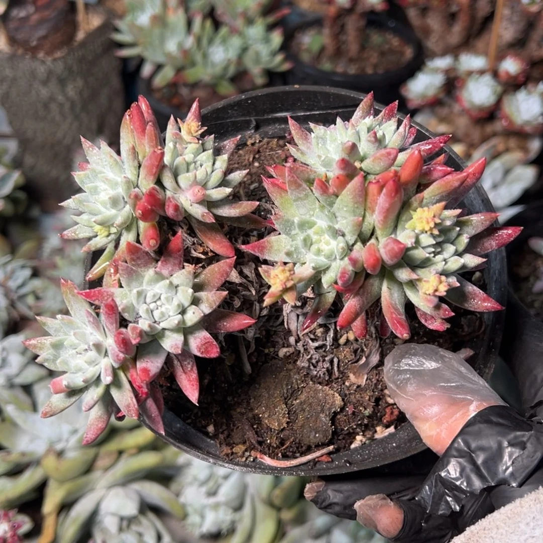 014哈哈哈哈哈哈哈哈