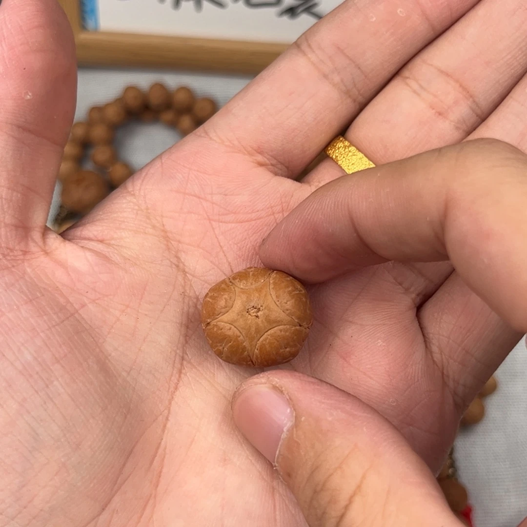 手串凤眼菩提19.7x13.7五星