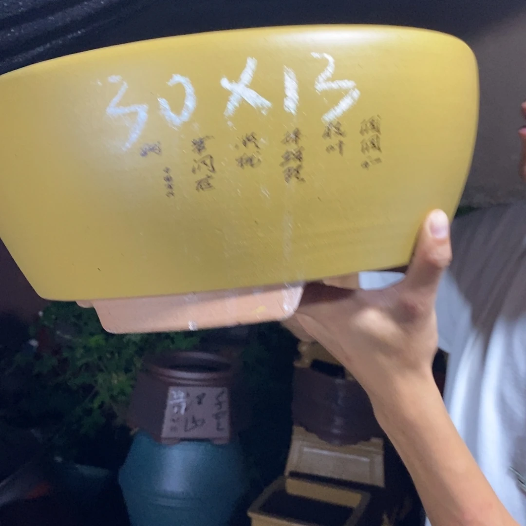 紫砂紫砂紫砂紫砂