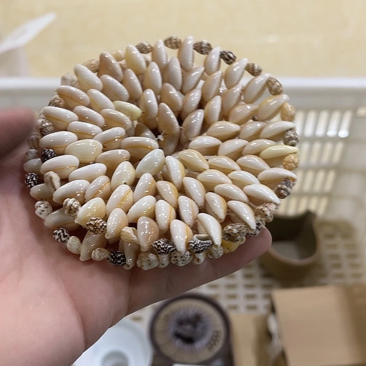 陶瓷12345678652211