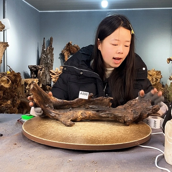 茶盏向*看598株木底座随行根艺