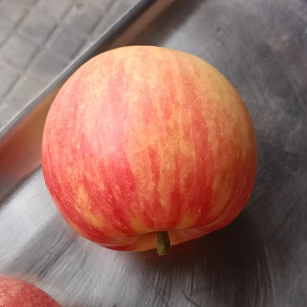 正宗陕西咸阳苹果新鲜脆甜多汁产地直发顺丰快递包邮不甜不要钱