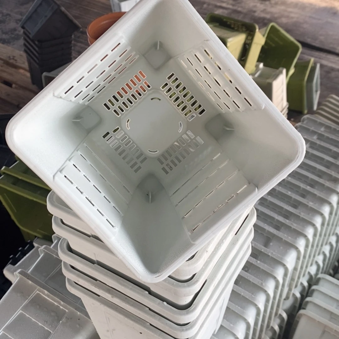 6个16口奶白方落灰带托伊特（16×17）