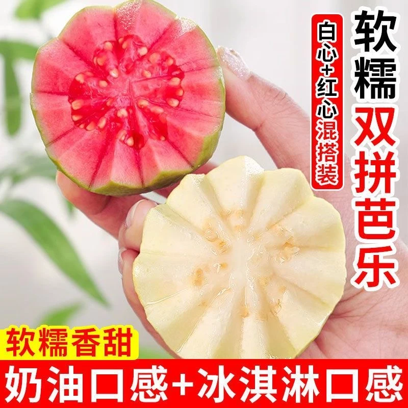 【软糯香甜白心芭乐、九甜一酸红心芭乐】【净重3斤】次日达广西壮族自治区