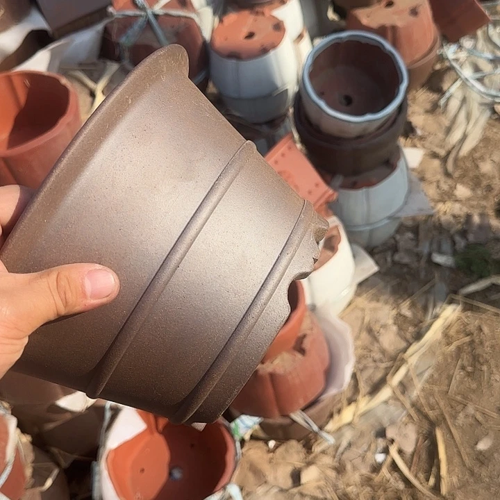 一哈来不急不快嘛亲爱你不要乱花钱的啊哈哈是