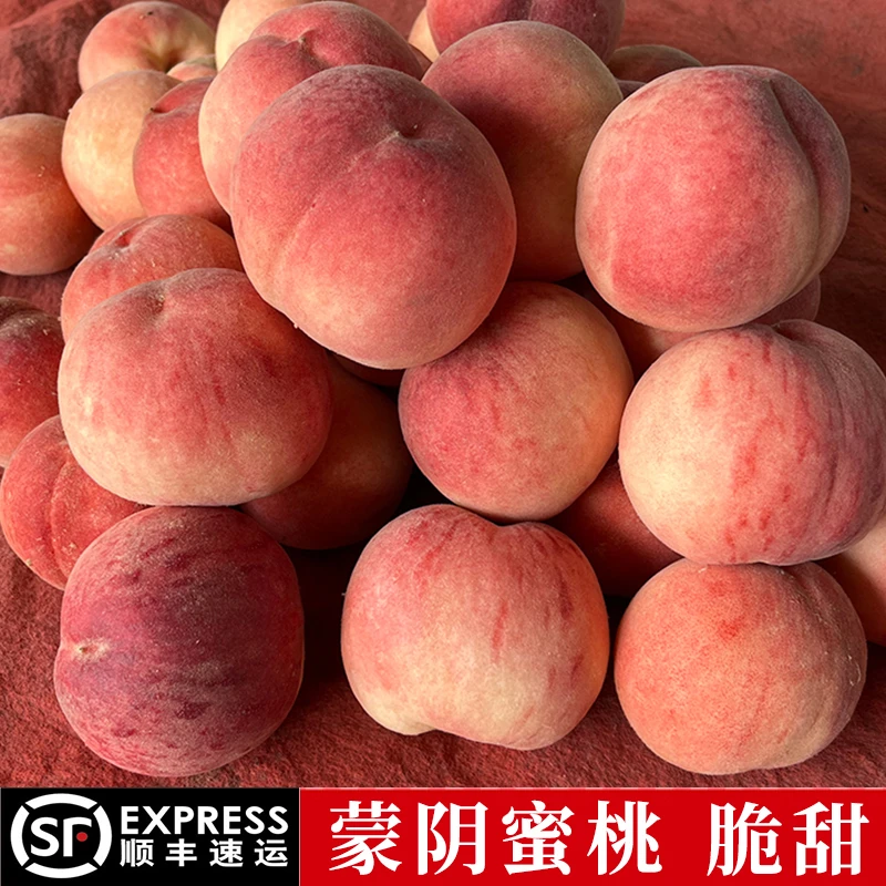正宗蒙阴水蜜桃毛桃新鲜桃子脆甜桃子红桃应季水果现摘现发礼盒装