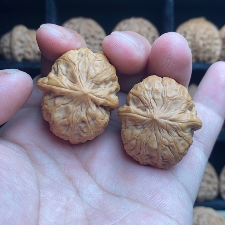 全品花生元宝37尺寸