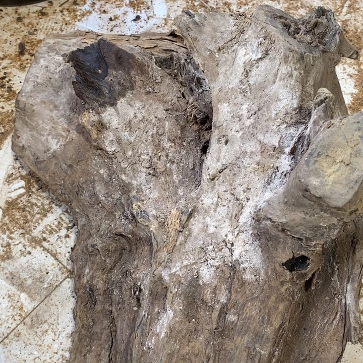 小***子贡木贡木手串定制（不退不换）