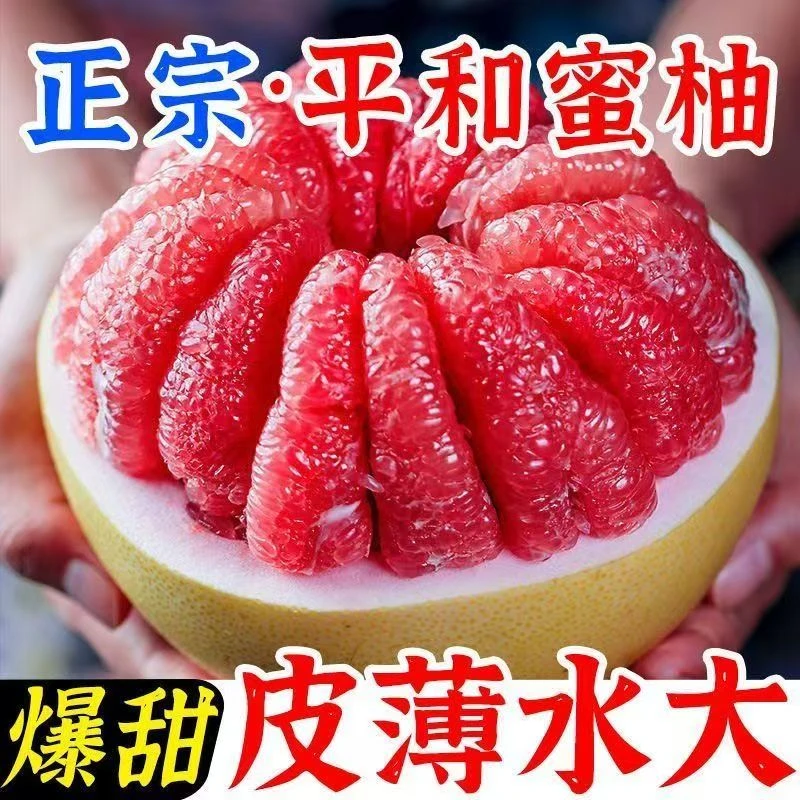 福建平和老树头茬红心蜜柚新鲜水果皮薄鲜嫩多汁当季