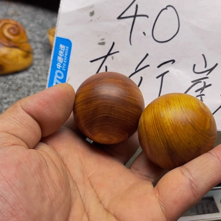 柏木（崖柏）崖柏159