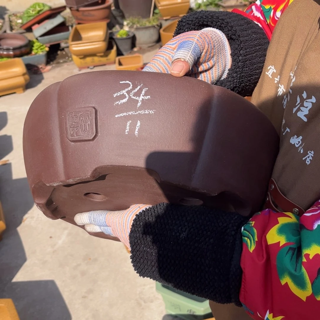 紫砂花盆盆景艺术