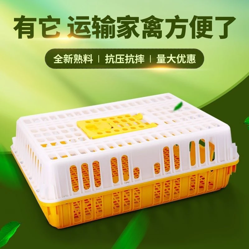 【厂家直销】家禽运输笼周转箱塑料鸡笼养殖大号加厚家用鸡筐加大