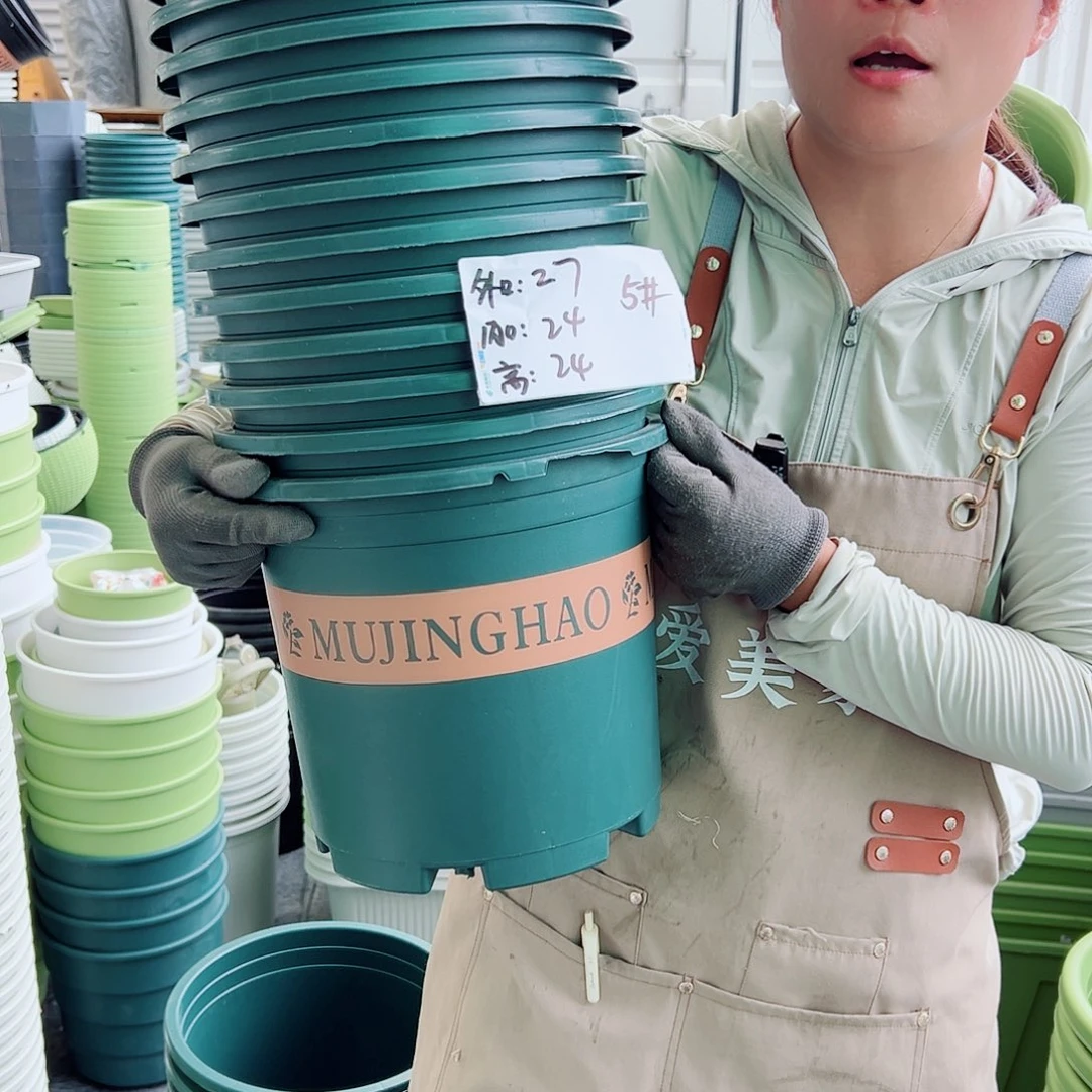 瑕疵5加仑墨绿色10个无托