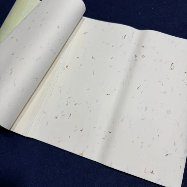 【芳烬笺干花纸】刘歪歪实验纸大风堂加厚半生熟书法国画作品宣纸