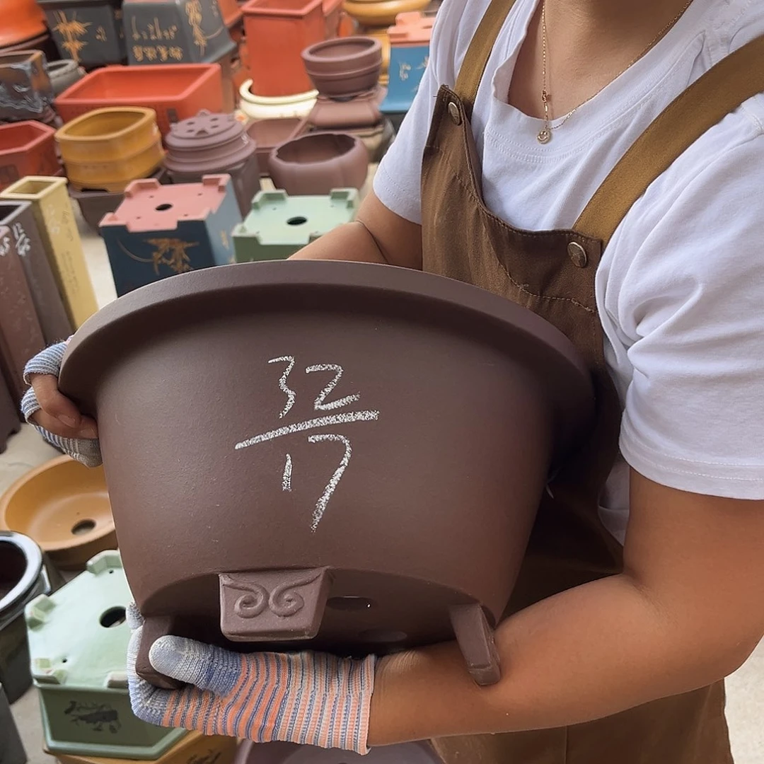 紫砂花盆盆景艺术