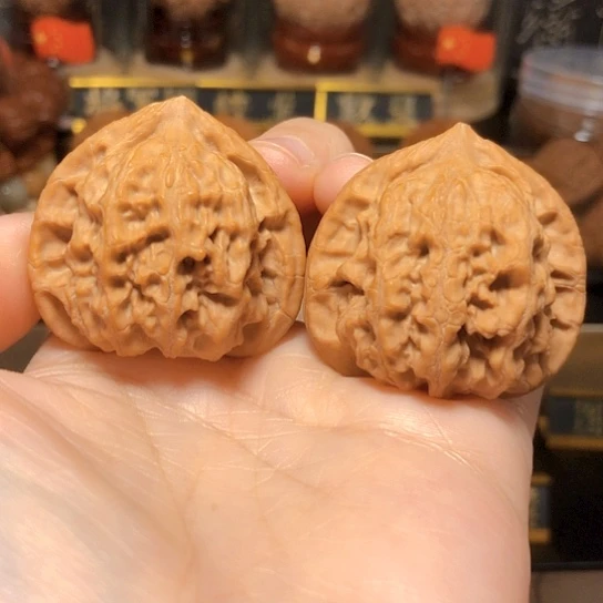 精品野生：梨木台