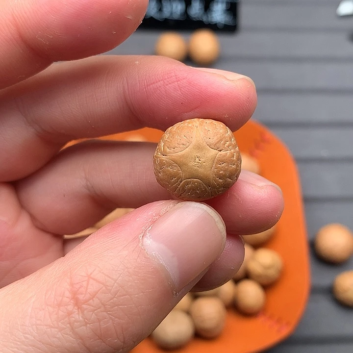吊坠凤眼菩提17+五星，非质量问题开孔不退