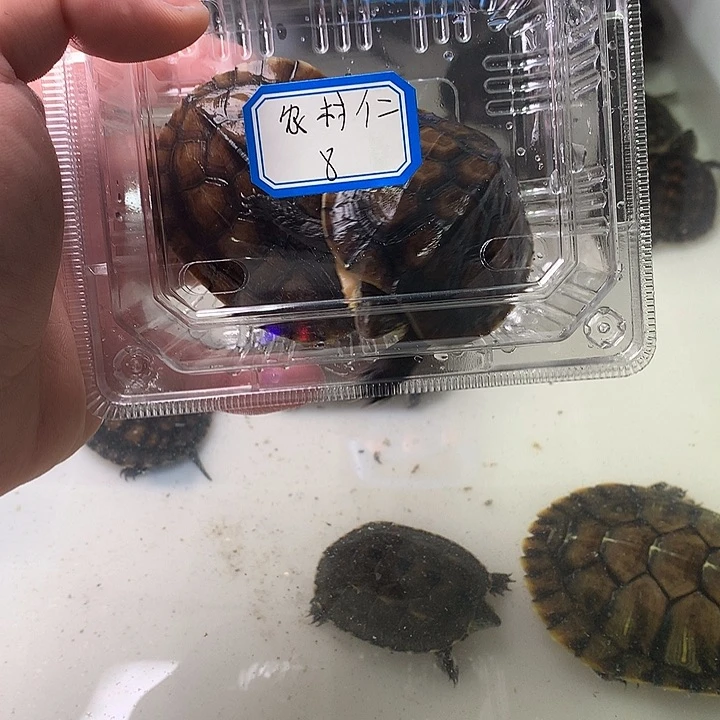 哈哈哈哈哈哈哈哈哈哈哈回