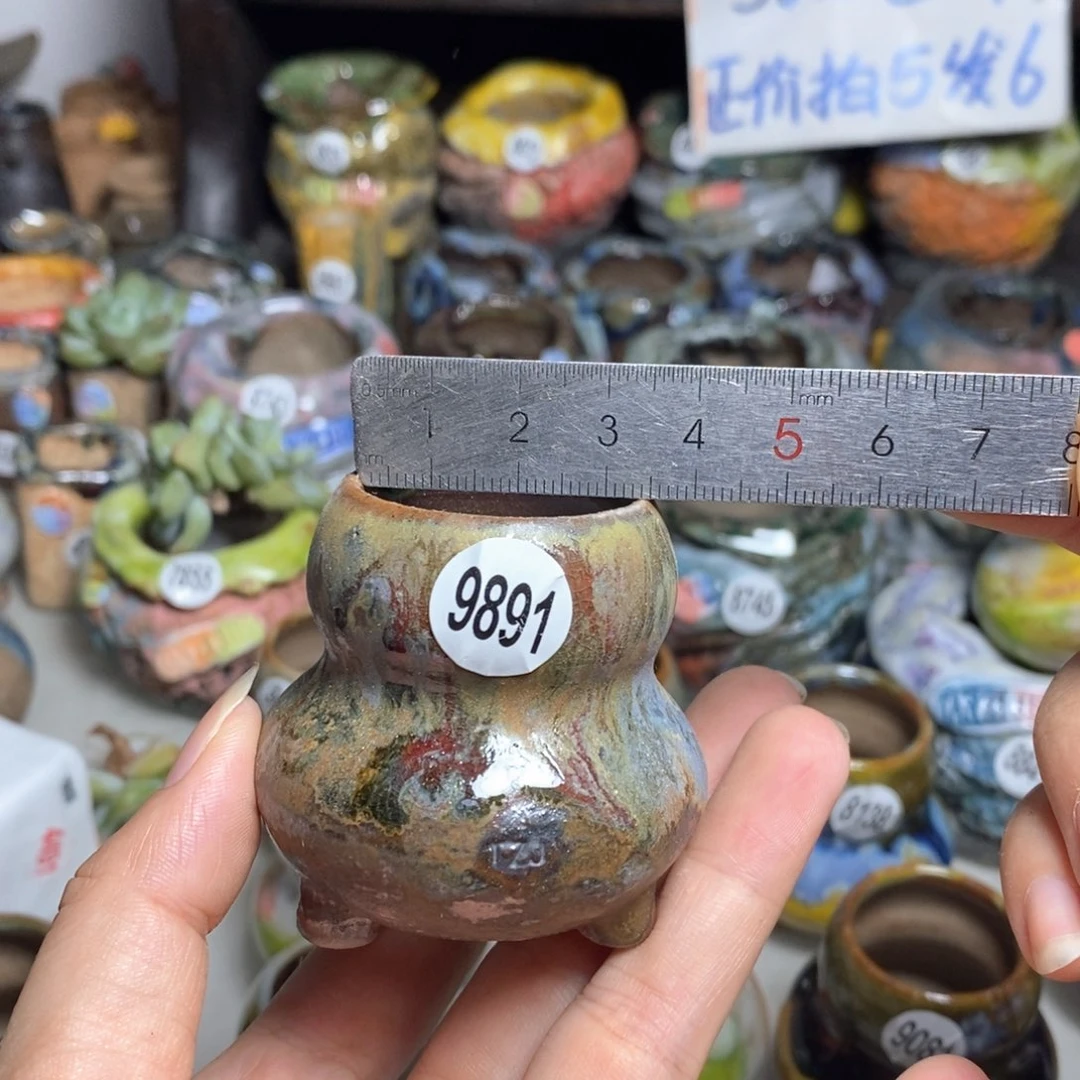 拍5送一个小礼物