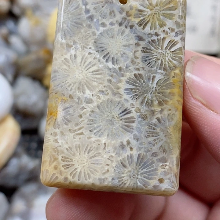 颈饰未镶嵌硅化珊瑚（珊瑚玉）