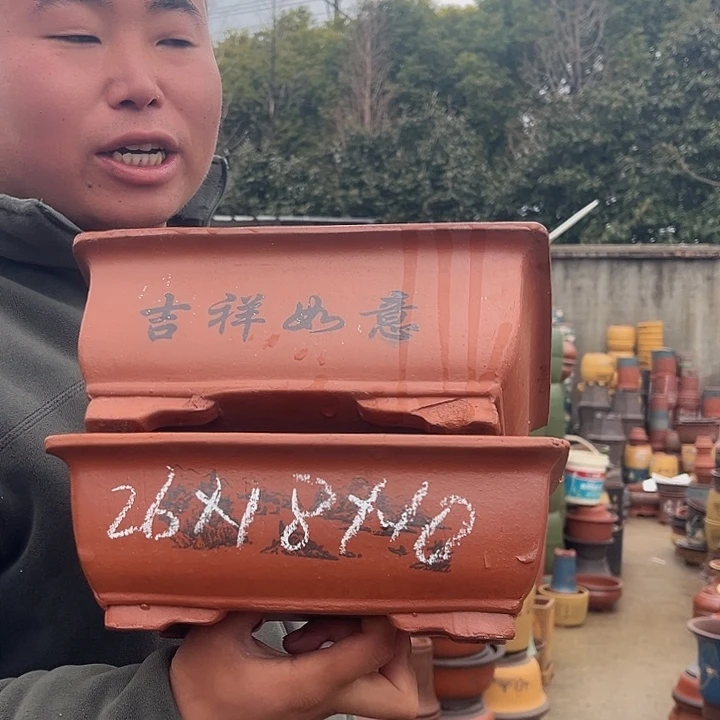 紫砂紫砂花盆盆栽